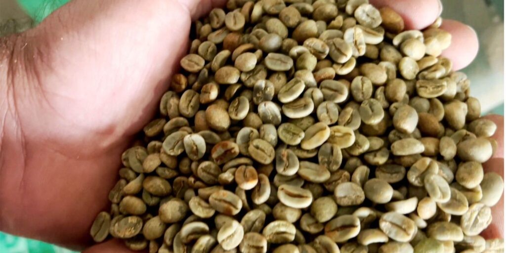 Mantiqueira de Minas conquista o mercado de cafés especiais