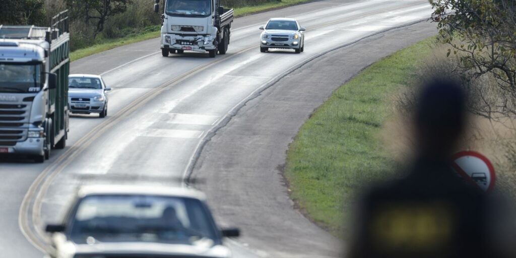 BR-040 vai ganhar passagens suspensas para a fauna