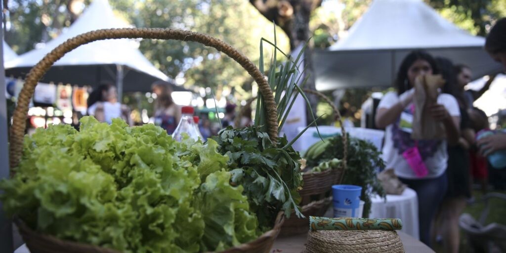 Programa convoca jovens a desenvolver soluções sustentáveis globais