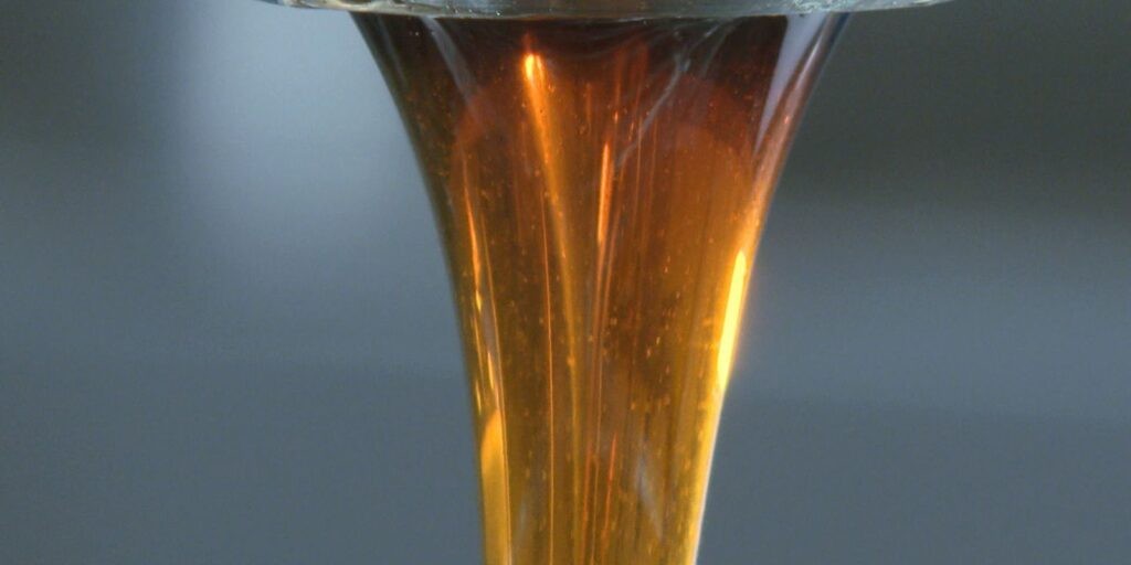 Mel produzido na serra catarinense é tema do Caminhos da Reportagem