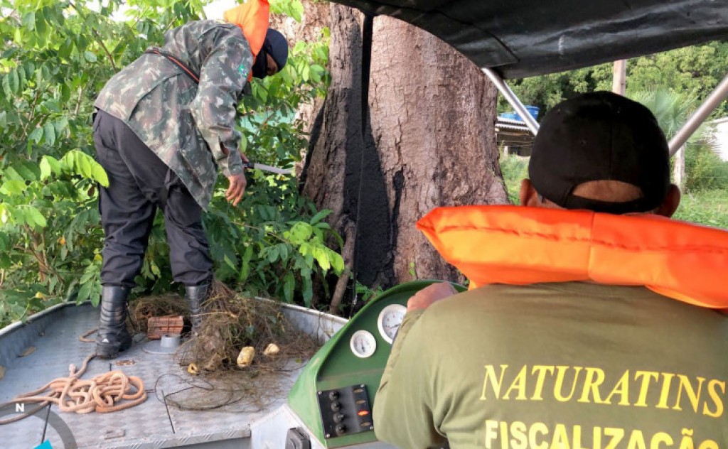 Governador Wanderlei Barbosa completa um ano de gestão superando metas de interesse ambiental e econômico