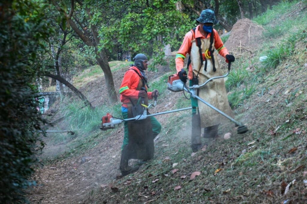 Prefeitura de Goiânia faz roçagem e poda de grama no Setor Pedro Ludovico, Vila Redenção, Residencial Fonte Nova, Centro e Santos Dumont, nesta terça-feira (04/10)