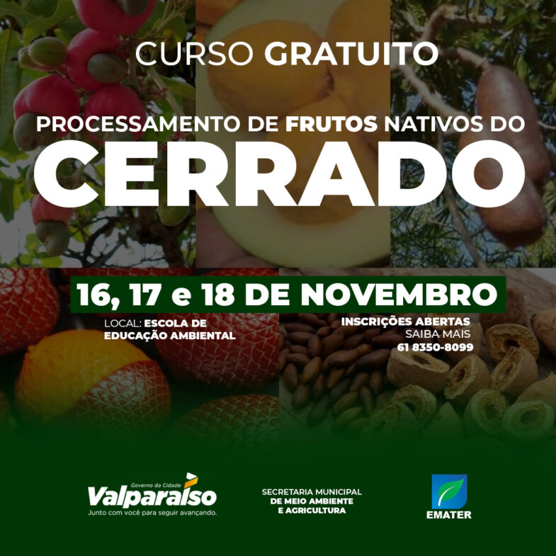 Curso de processamento de frutos nativos do cerrado possui inscrições abertas em Valparaíso - GO
