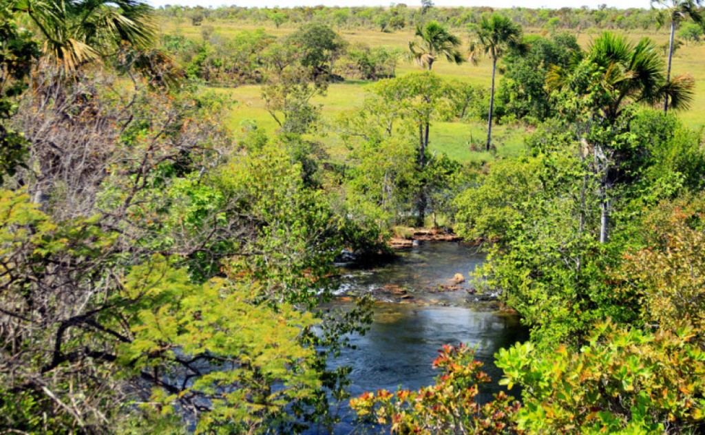 Governo do Tocantins avança em negócio que pode garantir mais de R$ 10 bilhões por créditos de carbono