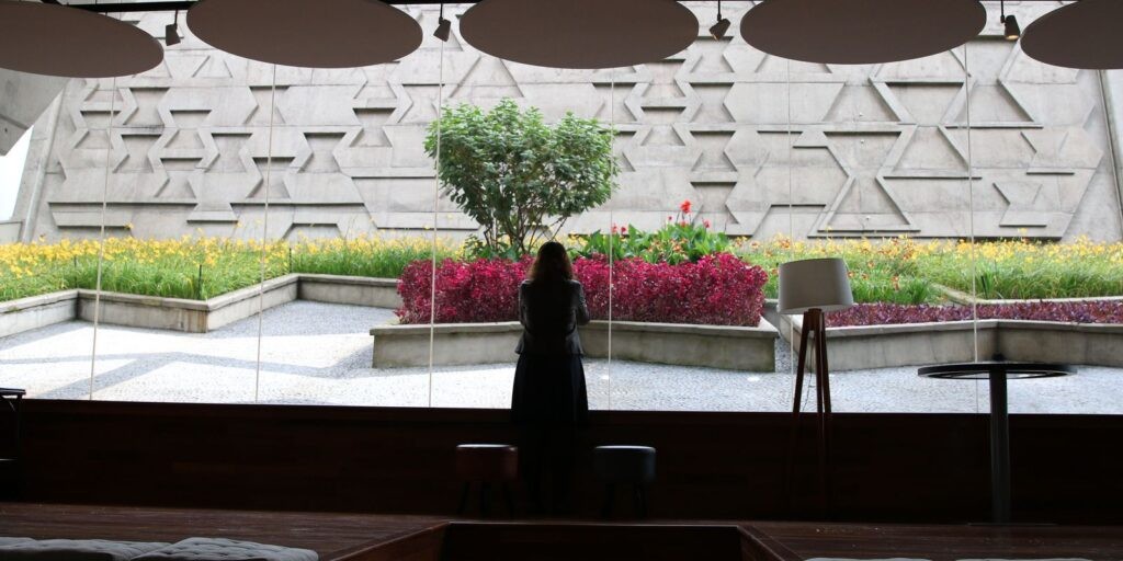 Exposição apresenta os projetos paisagísticos de Burle Marx para SP