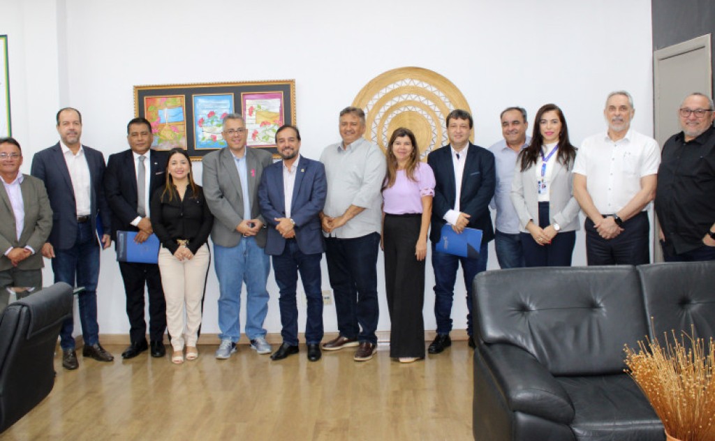 Conselho de Desenvolvimento Econômico do Tocantins aprova concessão de aporte de mais de R$ 11,6 milhões para projetos no Estado