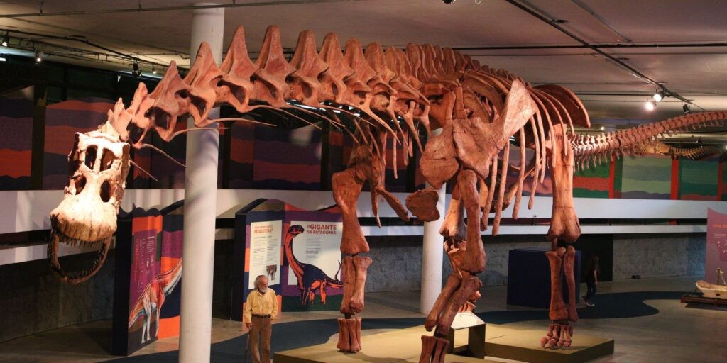 SP: exposição mostra réplica do maior dinossauro do mundo