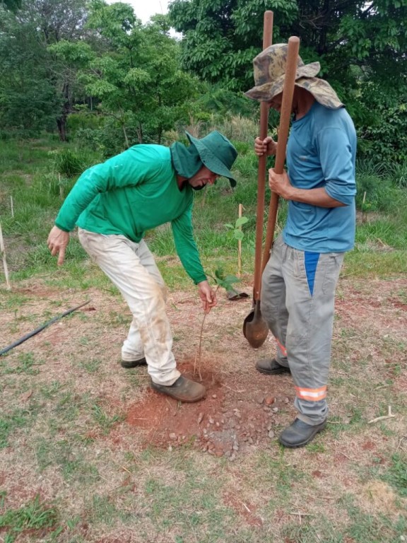 Prefeitura de Goiânia inicia, nesta quinta-feira (27/10), plantio de 700 mudas de árvores no Setor Faiçalville, próximo ao Parque Linear Macambira Anicuns