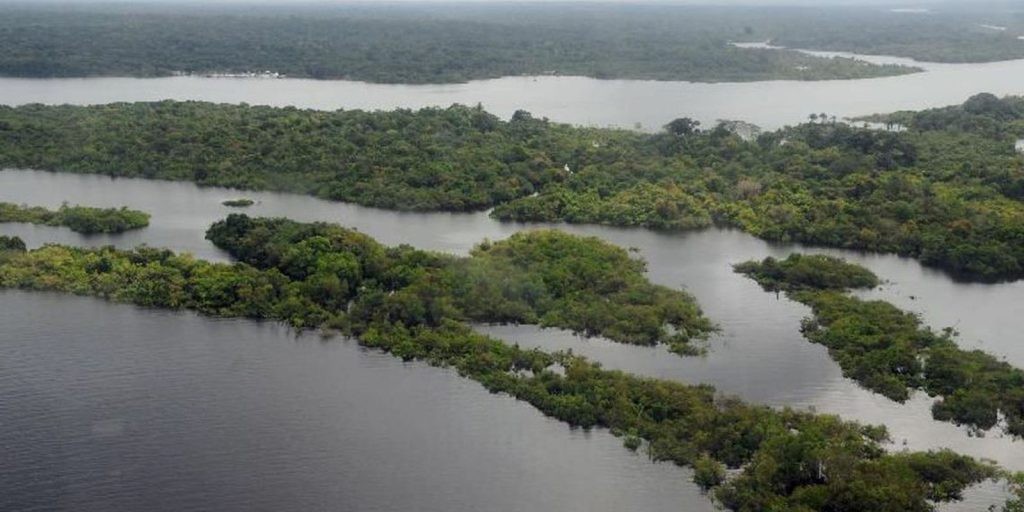 Preservação da Amazônia é prioridade do governo eleito na COP27