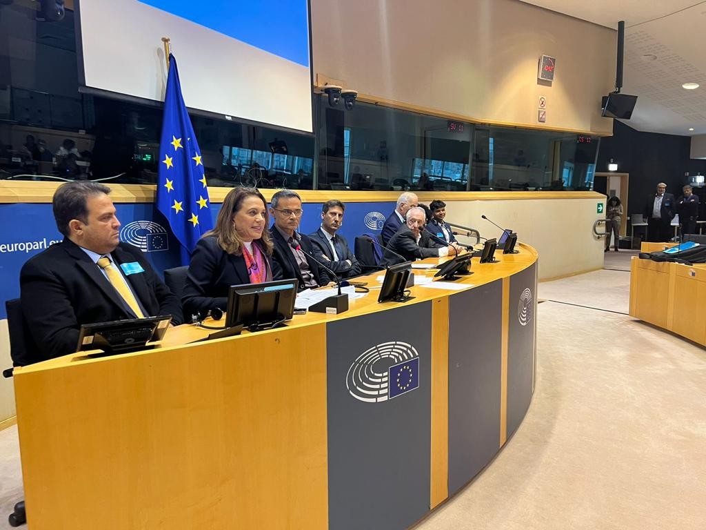 No Parlamento Europeu, Gracinha Caiado discursa sobre avanços sociais