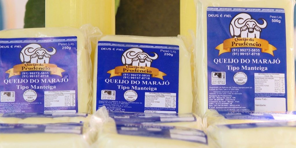 Queijo de búfala é atração gastronômica de Marajó
