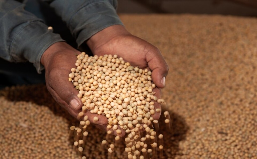 Exportações goianas crescem 77% em outubro