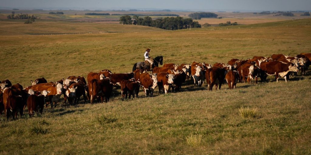 Em 2020, 1º ano da pandemia, PIB recua em 24 unidades da Federação