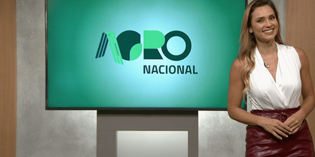 Agro Nacional deste domingo destaca produção de cana-de-açúcar