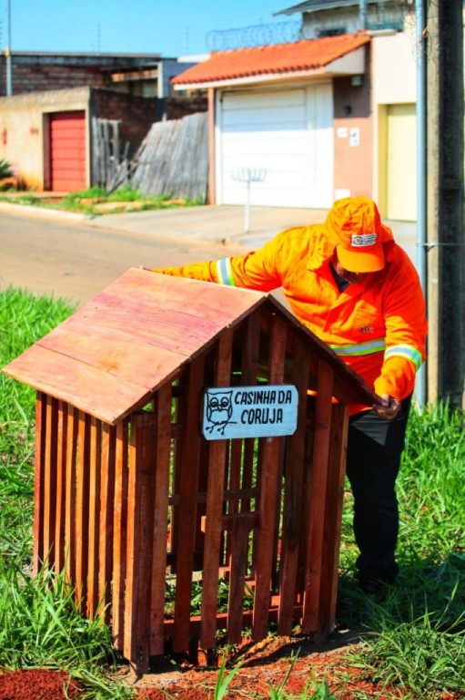 Prefeitura instala abrigos de corujas em praças do Jardim Petrópolis e Setor Faiçalville, e amplia para 33 número de ninhos protegidos em Goiânia