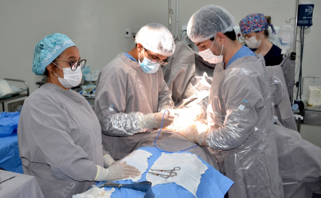 Tocantins realiza a segunda captação de órgãos no mês de novembro