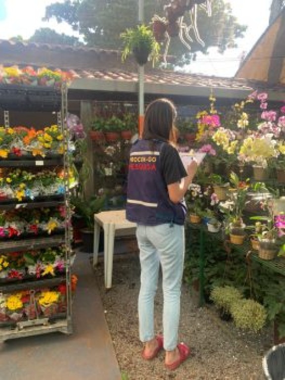 Finados: Procon registra variação de até 233% nos preços das flores