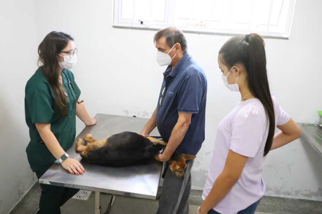 Centro de Saúde e Bem-Estar Animal de Goiânia realiza mais de 1,4 mil atendimentos em 2022