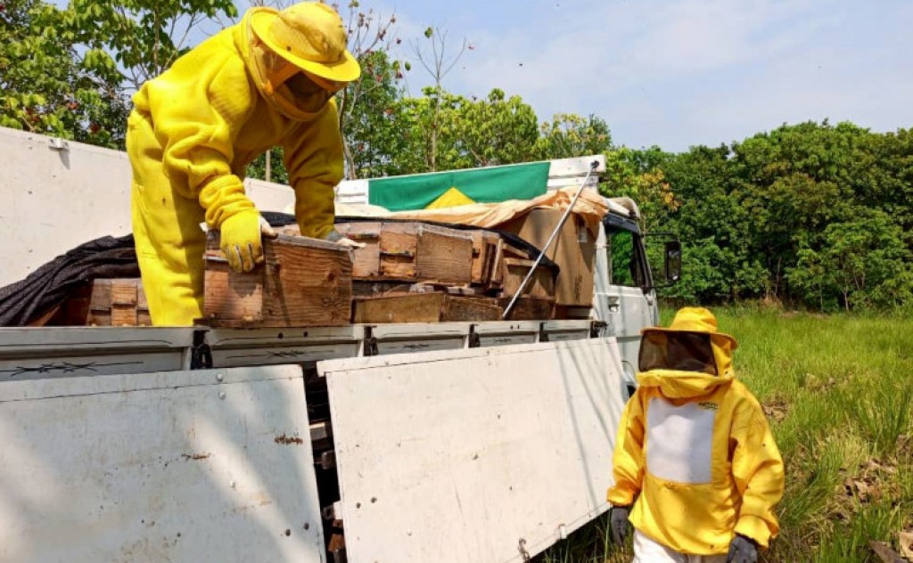 Governo do Tocantins destaca e registra o maior crescimento do Estado na produção de mel no Brasil