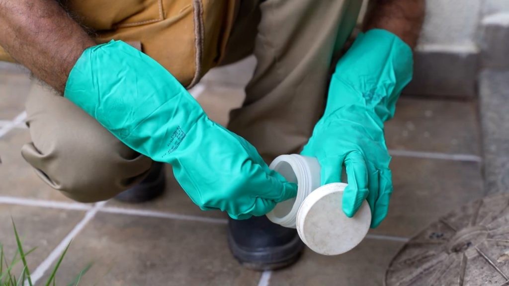 Estado alerta para cuidados contra Aedes aegypti