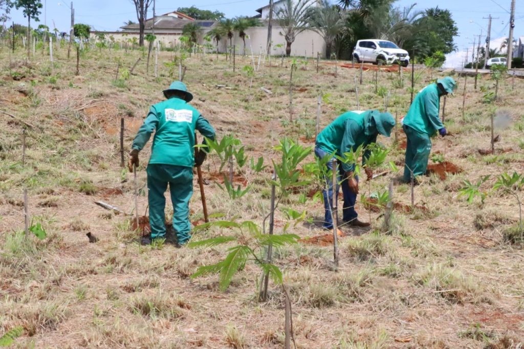 Amma recebe pela 3ª vez consecutiva Selo Nacional de Responsabilidade Social pelo Trabalho, concedido pelo Ministério da Justiça