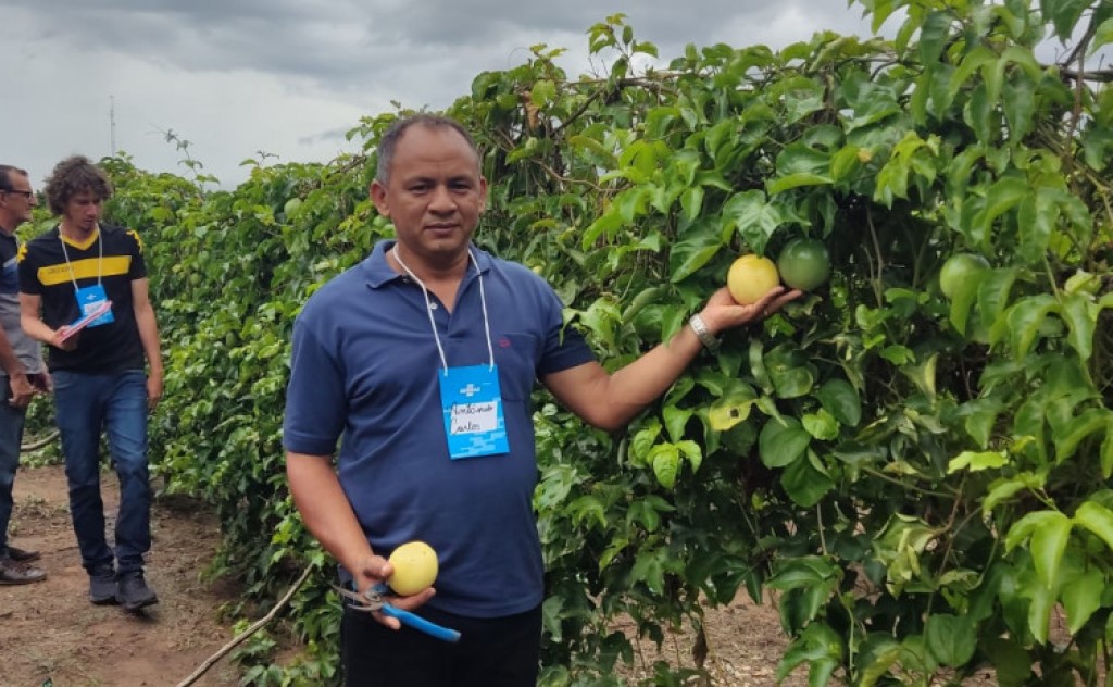 Ruraltins incentiva agricultores familiares do Bico do Papagaio ao cultivo de maracujá