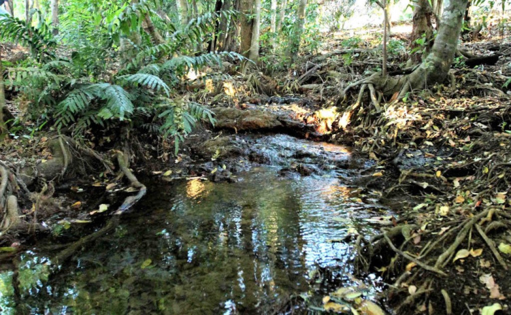 Governo do Tocantins orienta municípios para declaração das ações executadas do ICMS-Ecológico