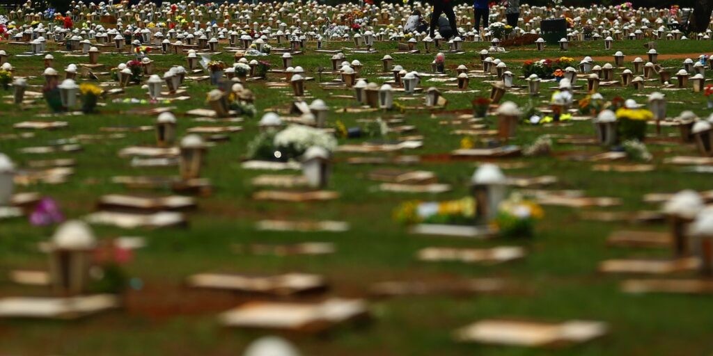 ABr explica: como funciona o enterro social no Distrito Federal