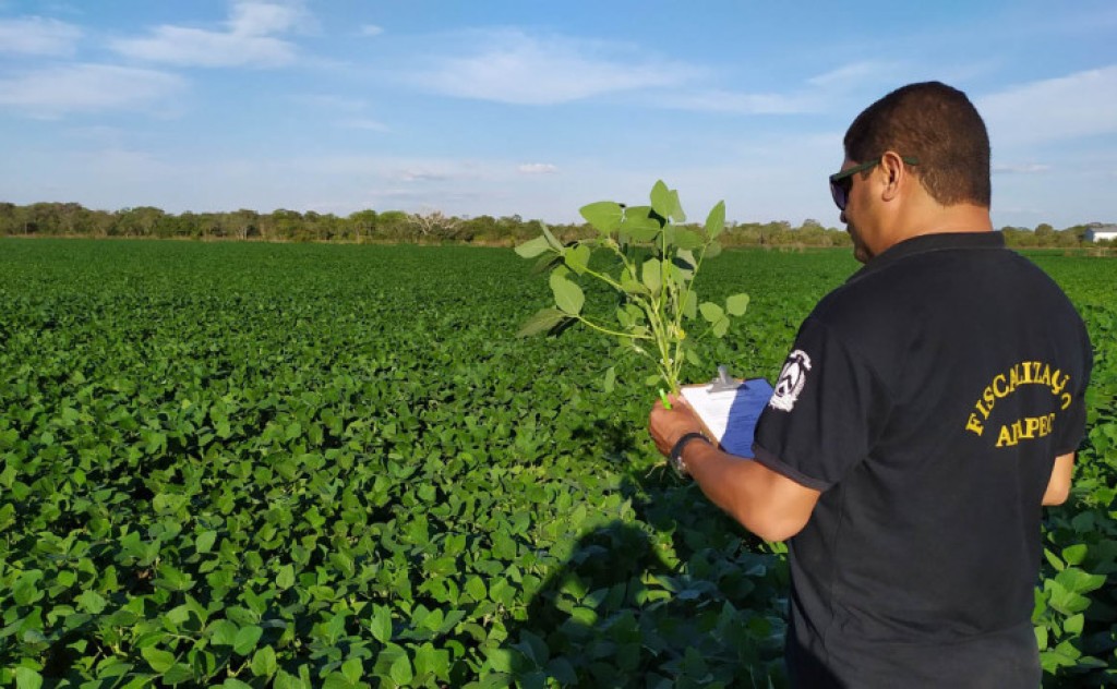 Adapec celebra 24 anos de criação com importantes investimentos tecnológicos e estruturais