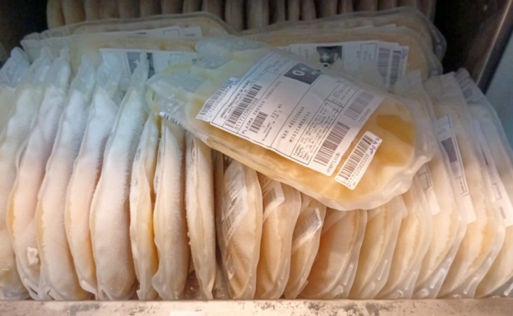 Hemocentro de Palmas fornecerá plasma excedente para Empresa Brasileira de Hemoderivados e Biotecnologia