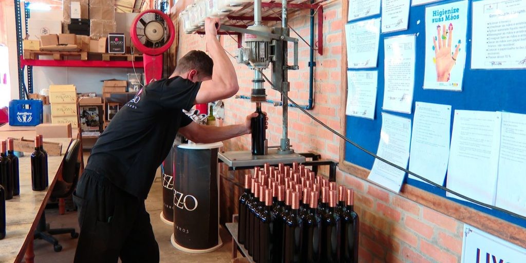 Na região dos pampas, o ressurgimento da tradição do vinho