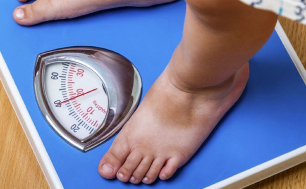 Saúde realiza Oficina de Educação Permanente no Enfrentamento da Obesidade