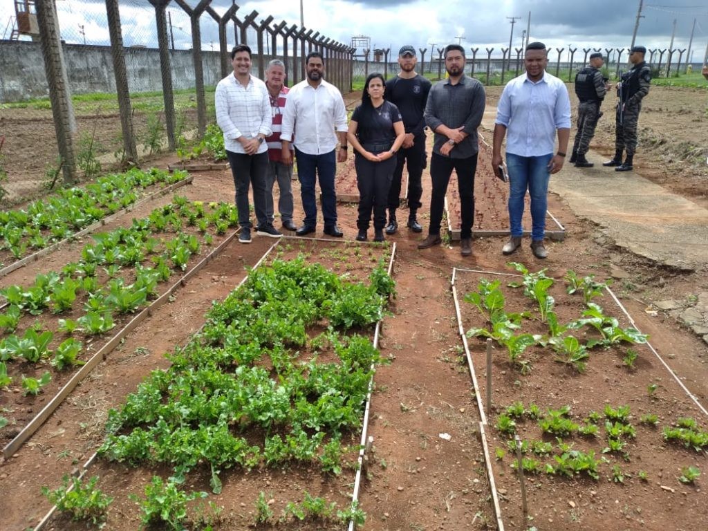 Projeto Horta Comunitária, da Prefeitura de Goiânia, é implantado no Penitenciária Odenir Guimarães para contribuir com reabilitação de detentos