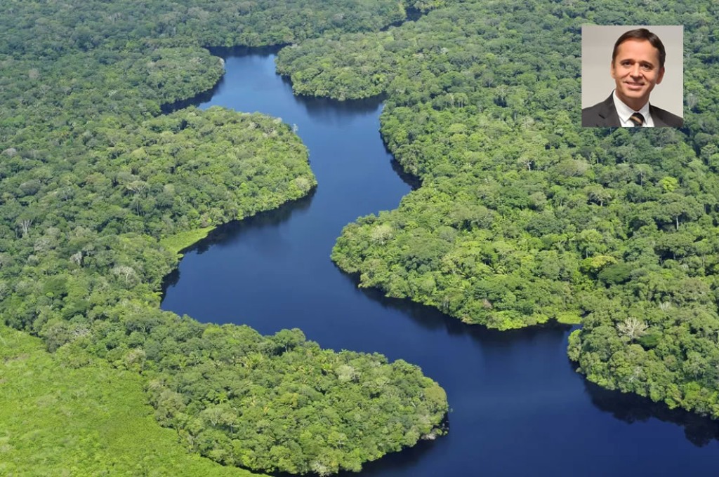 Créditos de carbono em reserva ambiental pública