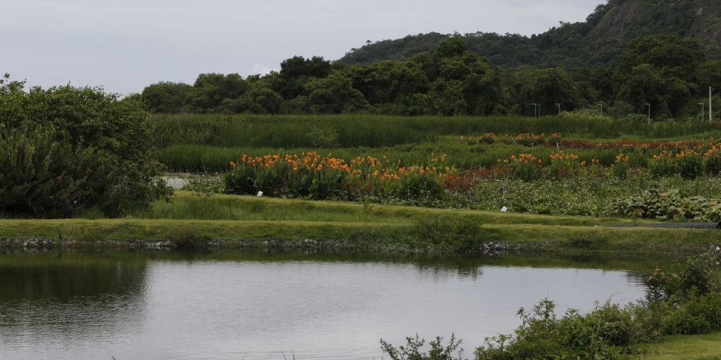 Novo parque em Niterói busca melhorar água e vegetação de lagoa
