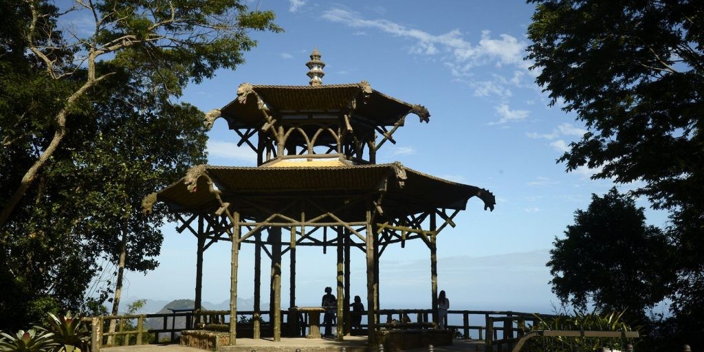 ONU premia iniciativa de restauração da Mata Atlântica