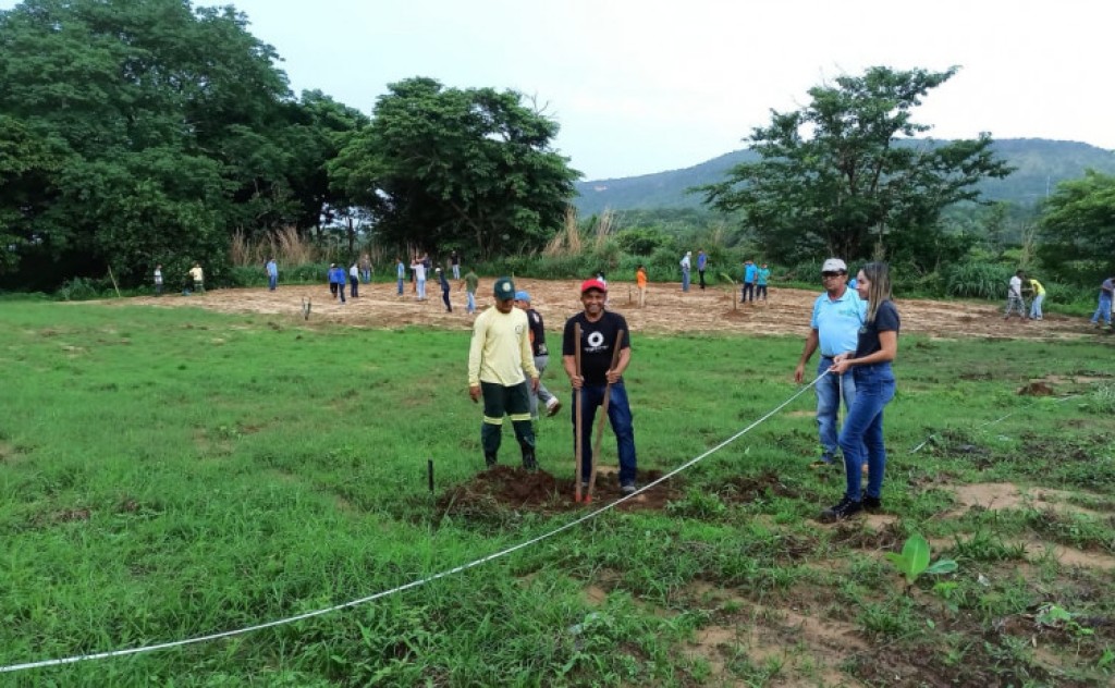 Governo do Tocantins promove capacitação em Sistemas Agroflorestais e Meliponicultura a acolhidos da Fazenda da Esperança