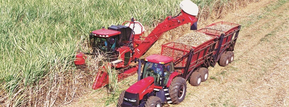 Exportações do agronegócio mineiro alcançam novo recorde, com US$ 15,3 bilhões em 2022