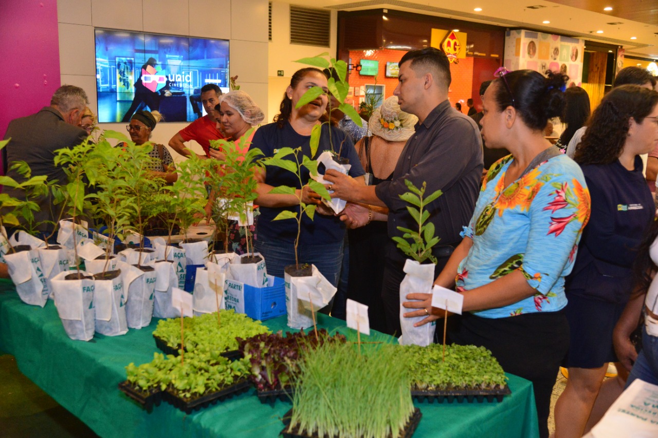 Distribuição de 1,5 mil mudas marca celebração do Dia Mundial da Educação Ambiental