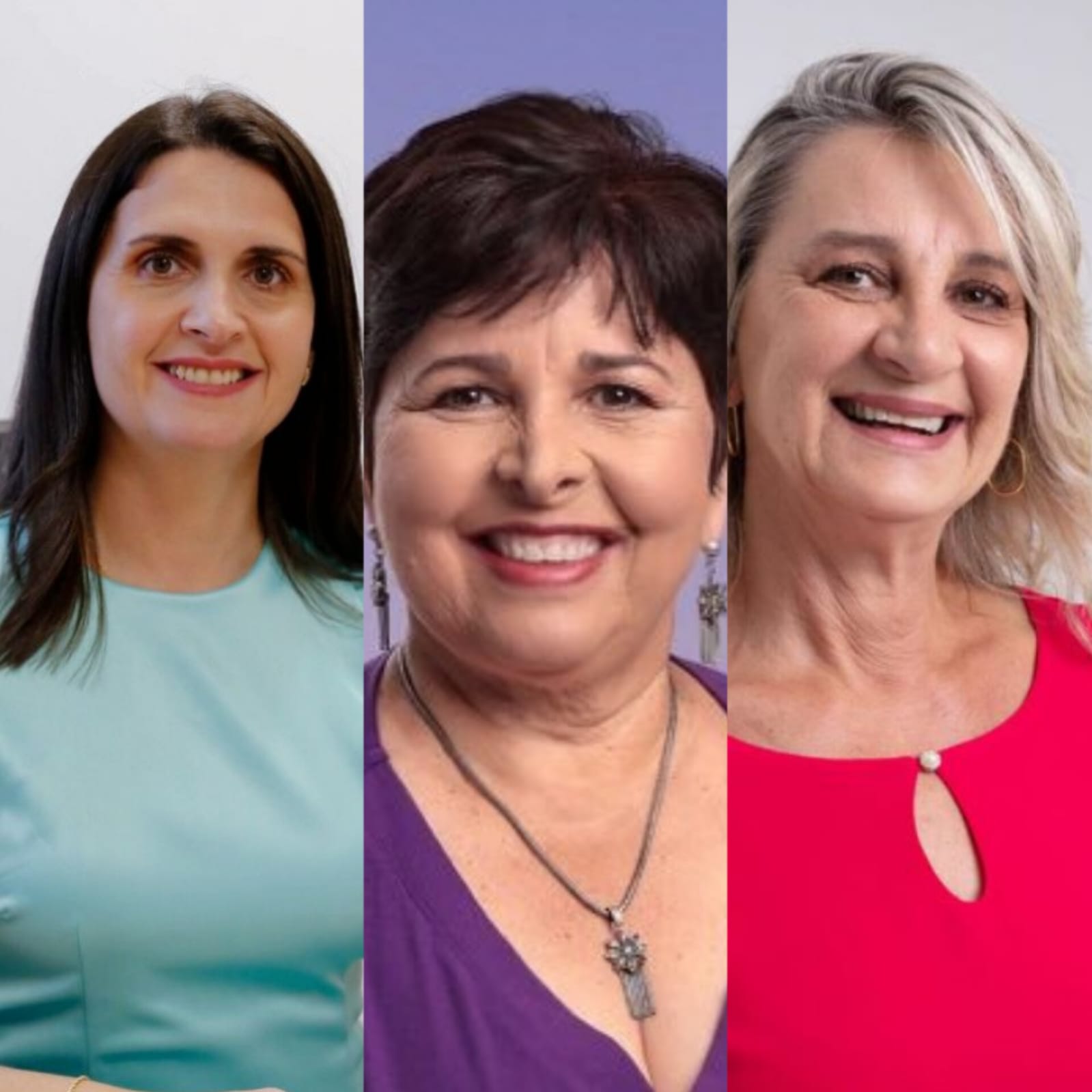 Alego anuncia deputadas para as comissões de Educação, Assistência Social e da Casa