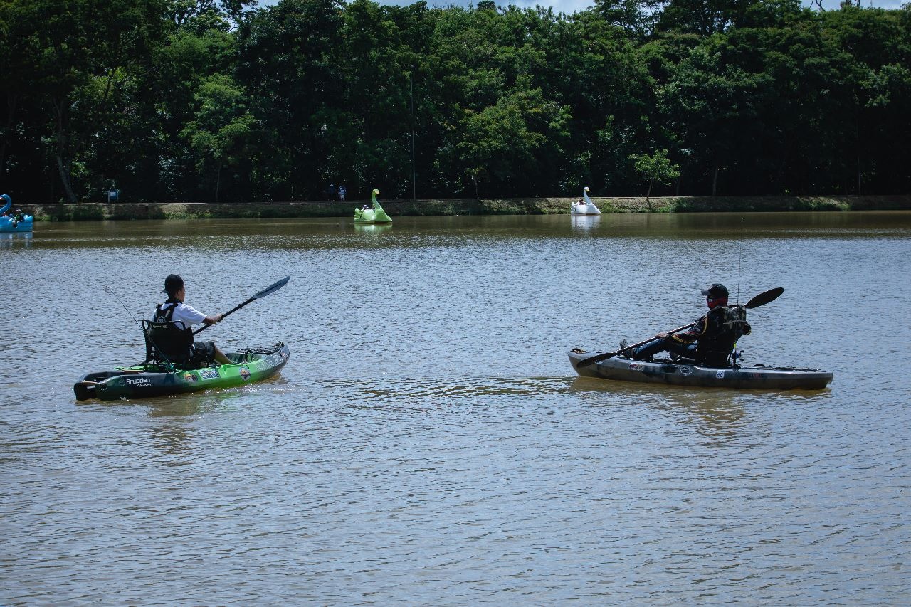 Profissionais da prefeitura iniciam manejo de peixes exóticos em parques
