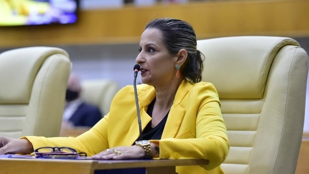 Projeto que permite animais em abrigos de Goiânia é aprovado