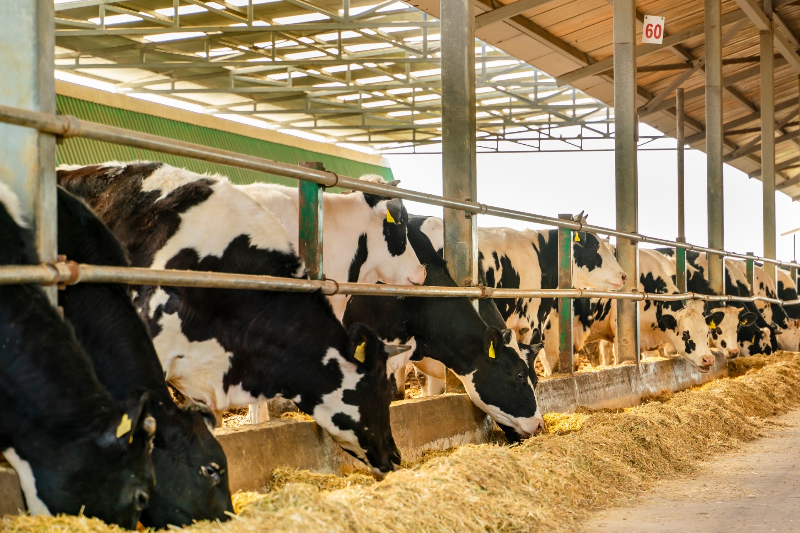 Justiça proíbe Quirinópolis de patrocinar exposição agropecuária