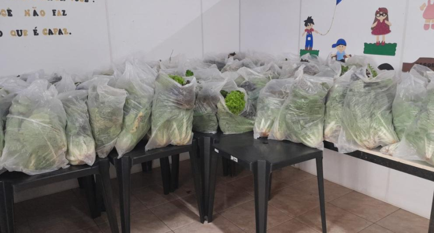 150 cestas verdes são distribuídas em Novo Gama