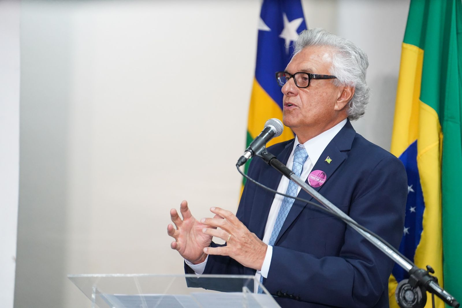 Projeto que cria Delegacia Estadual de Atendimento Especializado à Mulher é aprovado na Alego