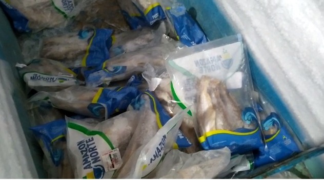 Fiscais de Defesa do Consumidor apreendem pescados impróprios para consumo em Aparecida