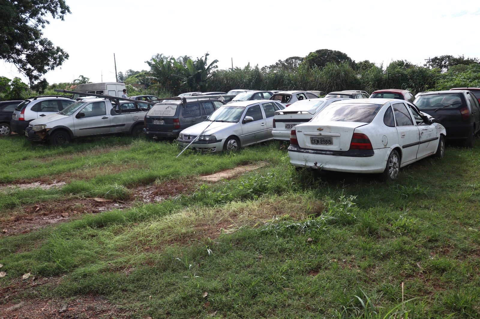 Senador Canedo vai leiloar veículos apreendidos