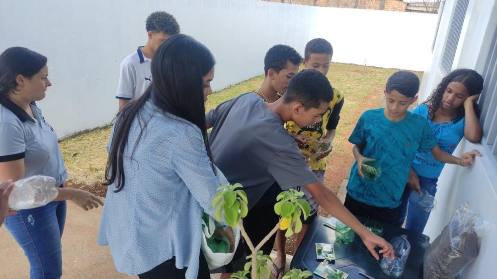 Projeto sustentável é realizado no Centro do Idoso, em Novo Gama
