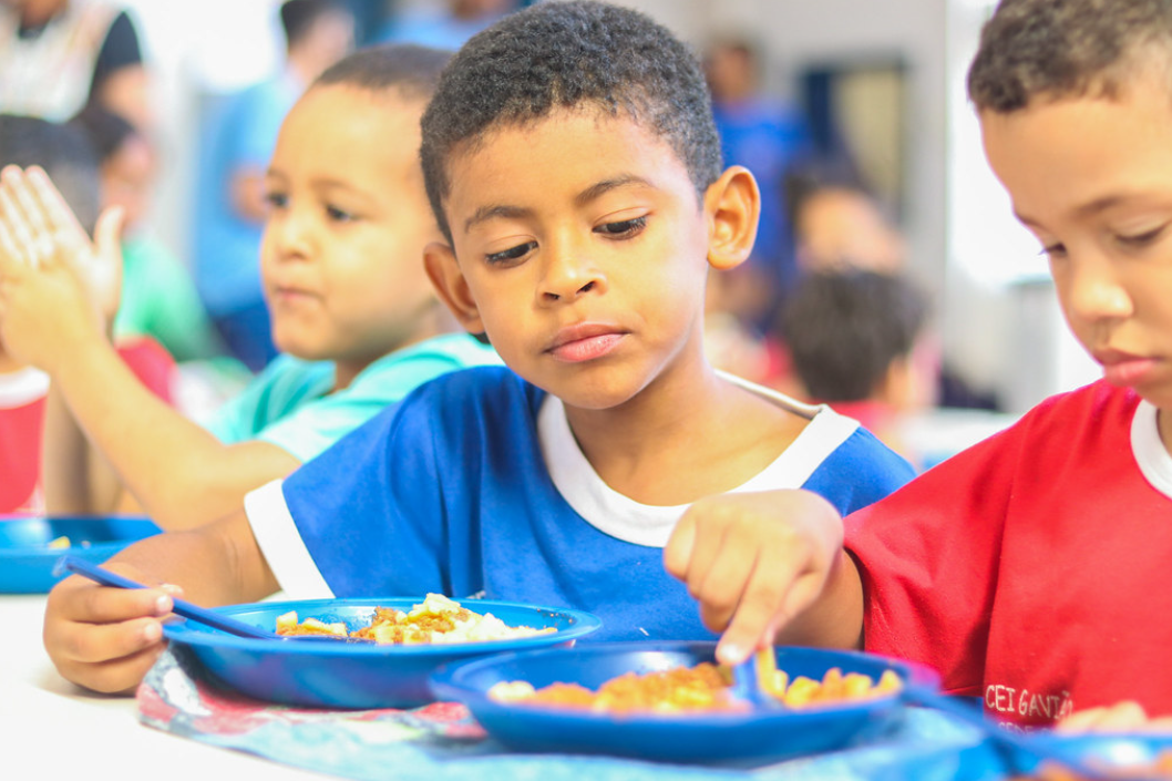 Atum é aprovado como nova proteína da merenda escolar do DF