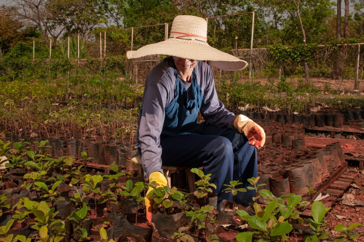 Formosa lidera criação de empregos no mês de abril